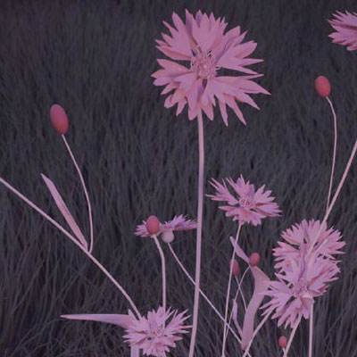 上下分的捕鱼app手机app下载