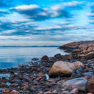 江南官方网站下载手机app下载