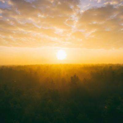 hth体育官方网站截图