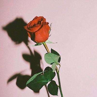 开元ky7818老版本手机app下载