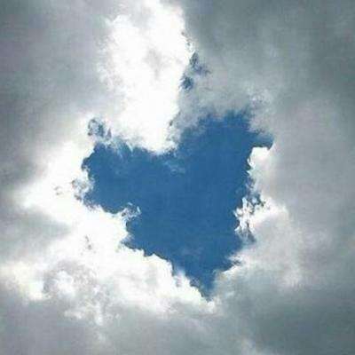 博鱼中国官网下载入口截图