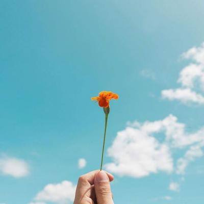 爱游戏·APP手机app下载