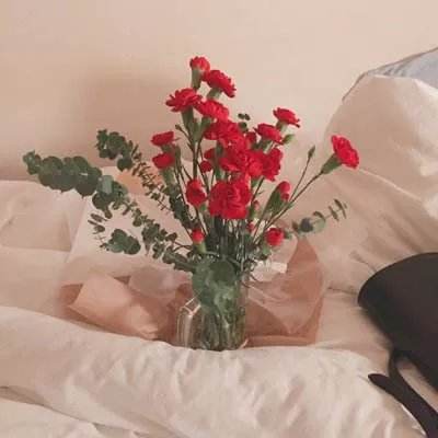 管家婆一码一肖资料大全