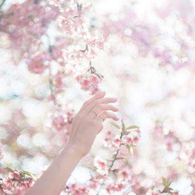 Bsport体育官方下载入口